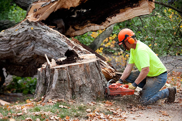 Lawn Drainage Solutions in Sleepy Hollow, CA